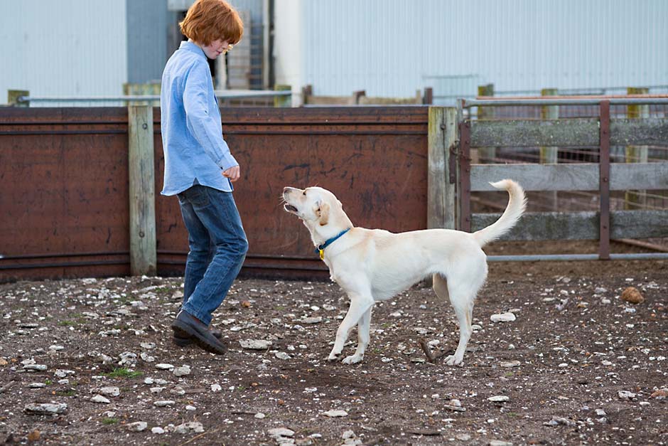 Photo of farm kid playing with a cream coloured dog